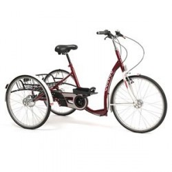 Tricycle pour adulte 2219 Lagoon