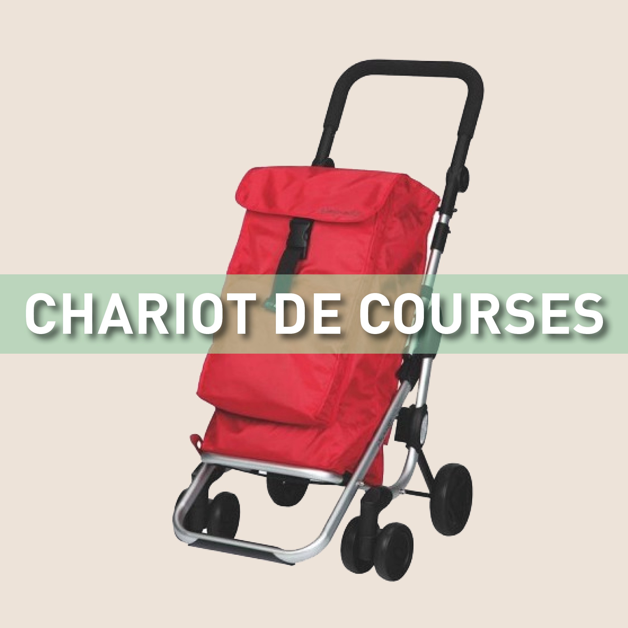 Chariot de courses